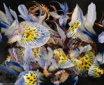 immagine di arte moderna astratta di petali di fiori con screziature di colore indaco e gialle
