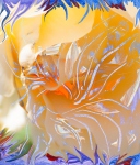 immagine astratta dai colori caldi con astrazione di fiore con forme astratte che richiamano dei pistilli che si sviluppano fluttuando